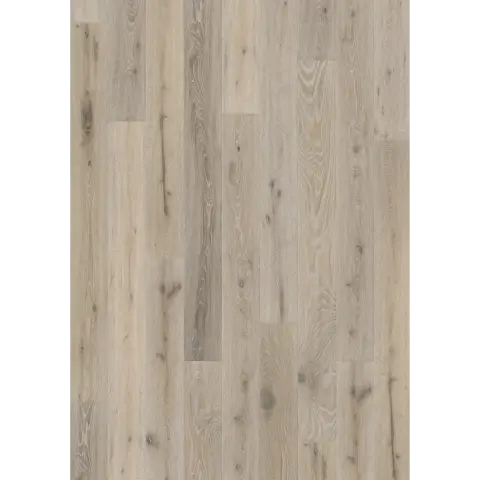 Oak Oyster engineered hardwood flooring