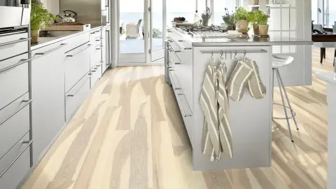 Ash Flow view 5