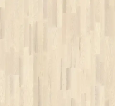 Ash Living view 2
