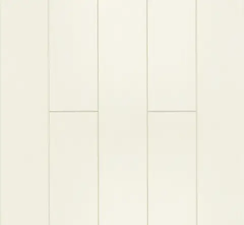Ash White Polished Planked view 2